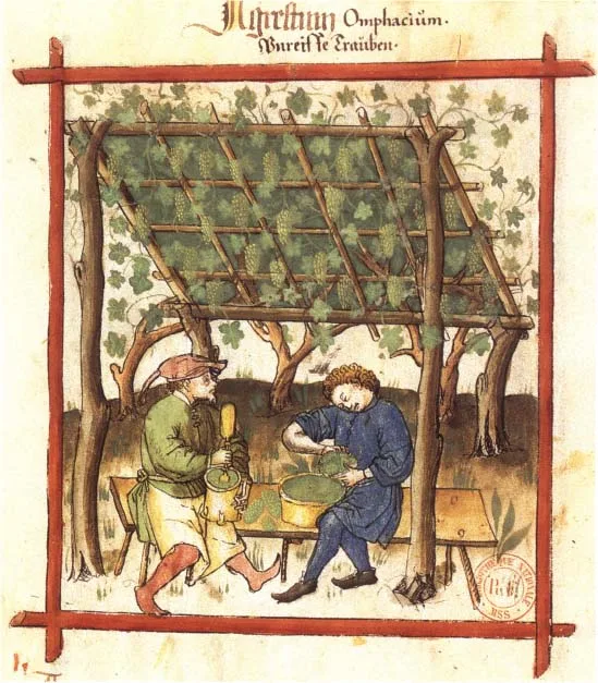 Verjus