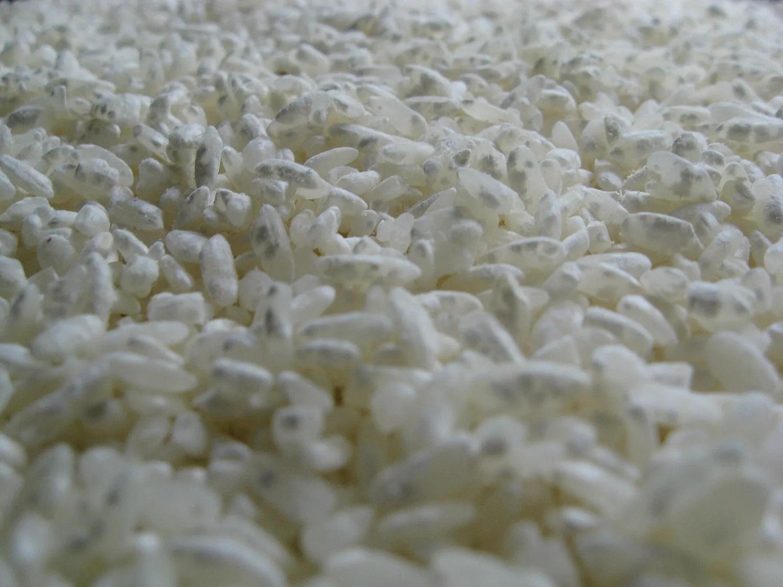 Koji Fermentation